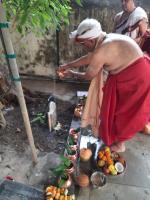 Abhisheka at Naga Katte